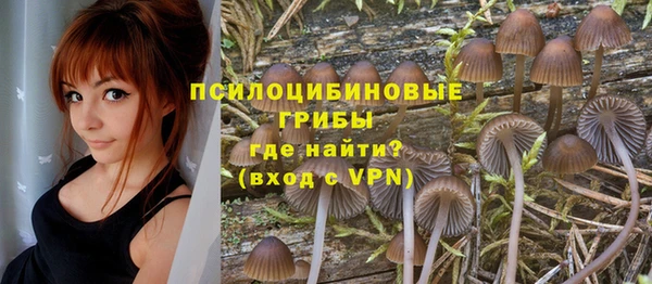 MDMA Лиски