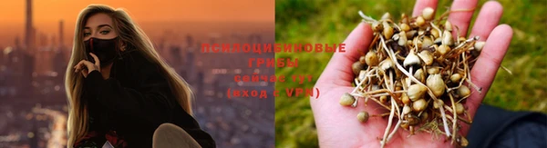 трава Лихославль