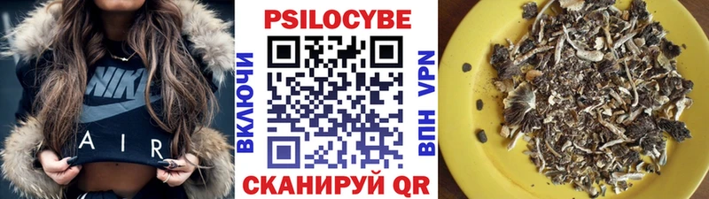 Псилоцибиновые грибы Cubensis Никольское